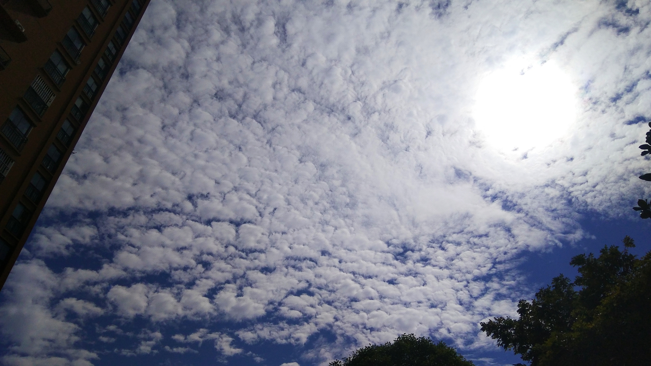 《日月丽天,群阴慑服》 自古政权更迭,重文重武皆乃错误:       重文