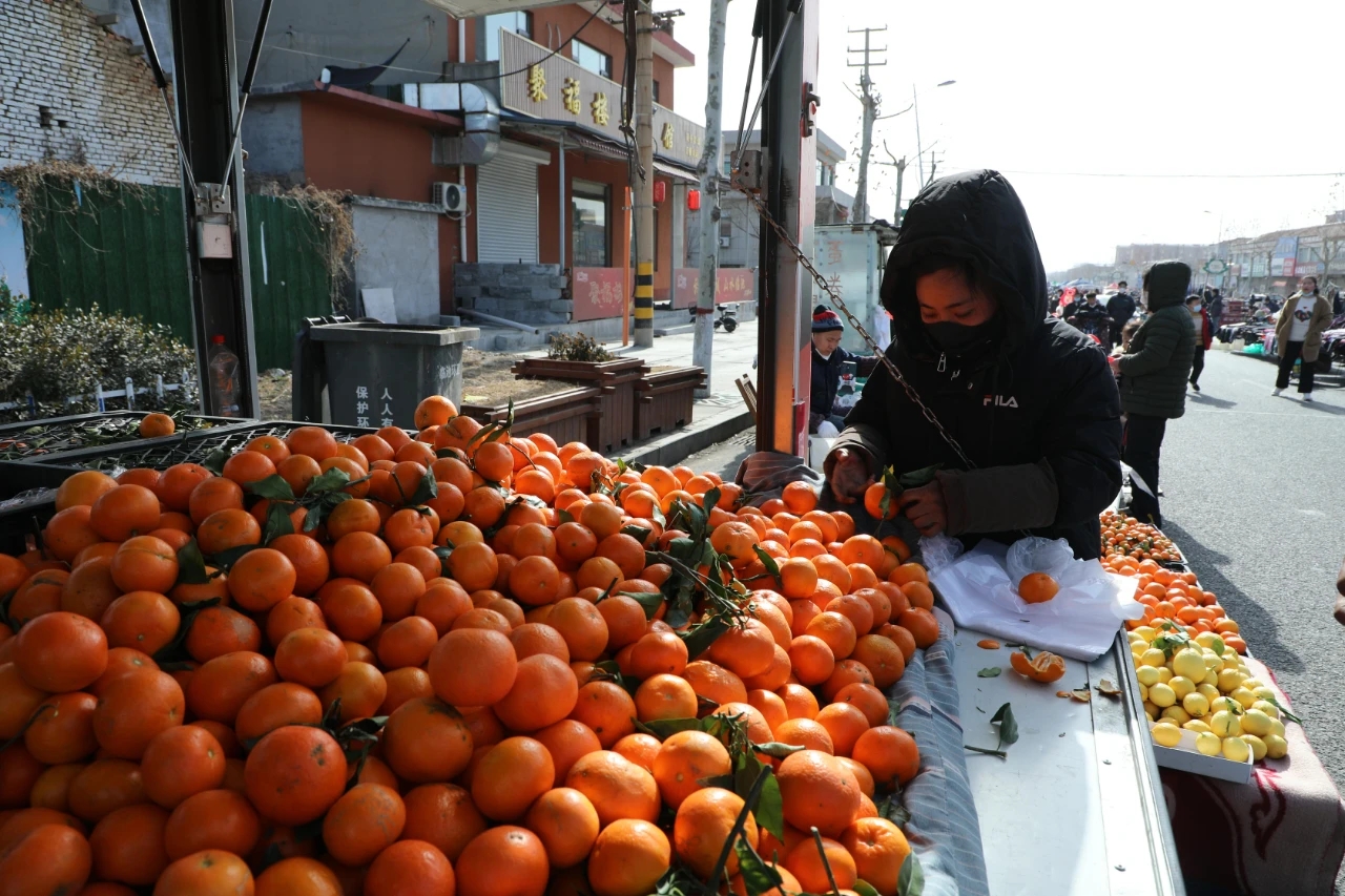 拍于腊月二十八邹平市临池集