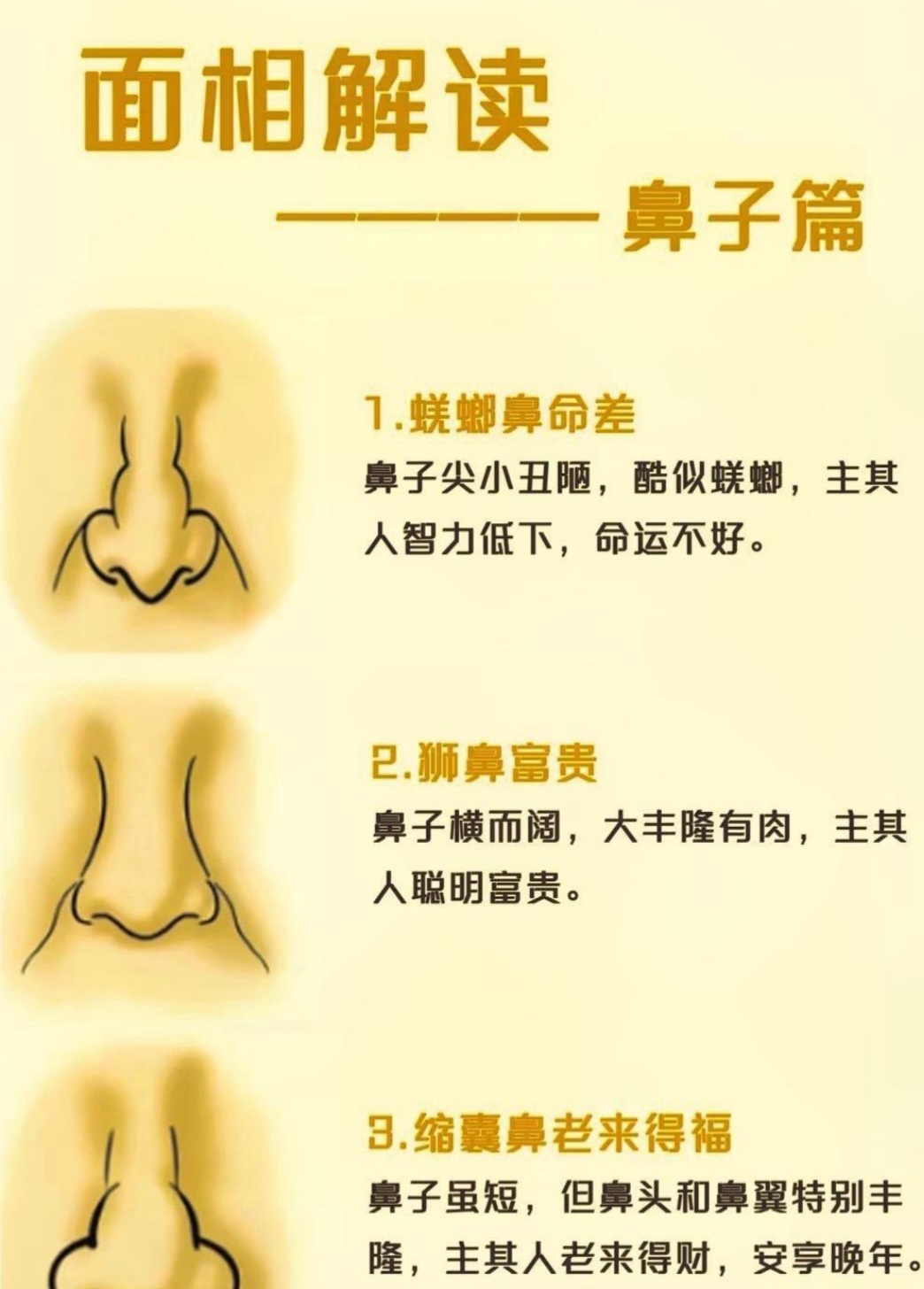 面相解读:鼻型藏运势,蚝螂鼻命薄,狮鼻富贵,缩囊鼻晚年享福