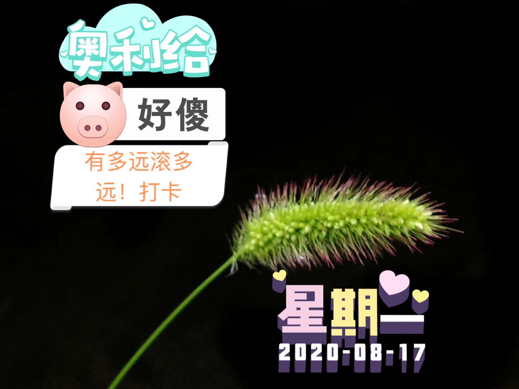 霍光传》 【原文】 臣闻客有过主人者,见其灶直突,傍有积薪.