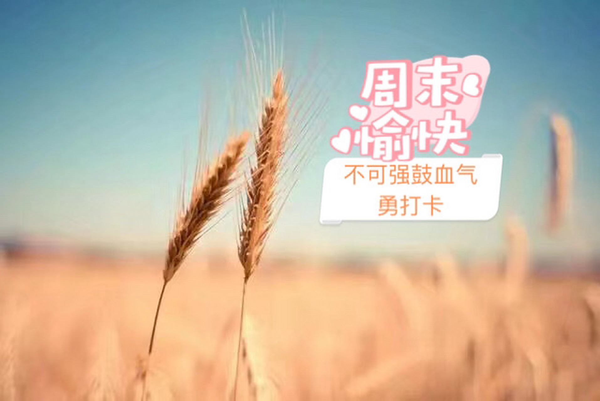 当断不断 反受其乱 《汉书·霍光传》 【原文】 贺者,武帝孙,昌邑哀