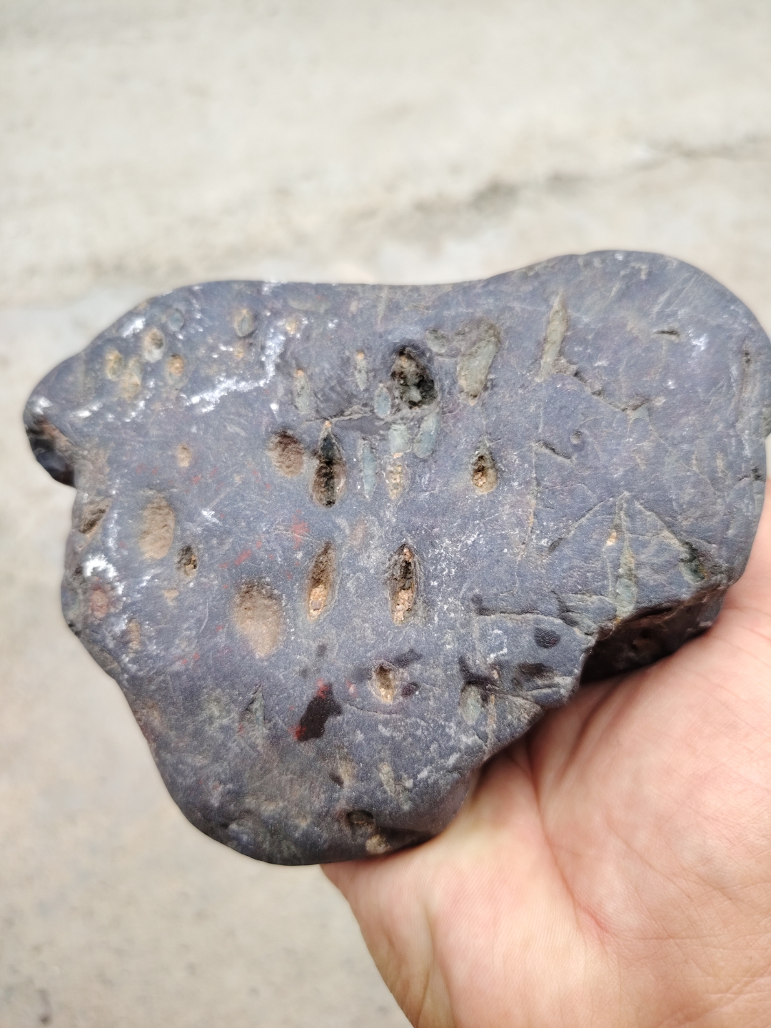 石铁橄榄陨石,同向性气印及熔蚀坑,熔流线明显可见,白色熔壳,中磁属性