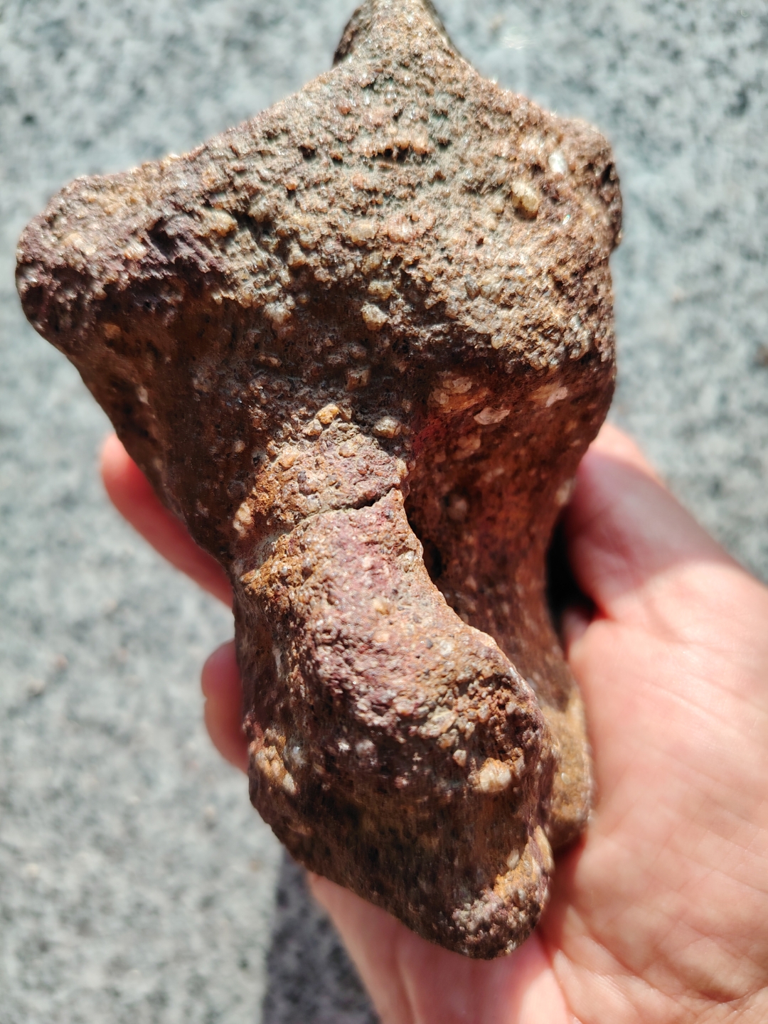 火星沙砾岩石陨石,无磁,发现于台湾海峡,气印及熔壳具在,配个底座放至