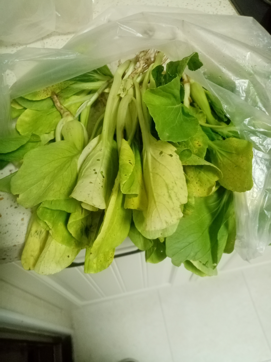 这青菜买着放了三天了,叶子发黄了,它怎么不焉吧,也不干,看起来脆生生