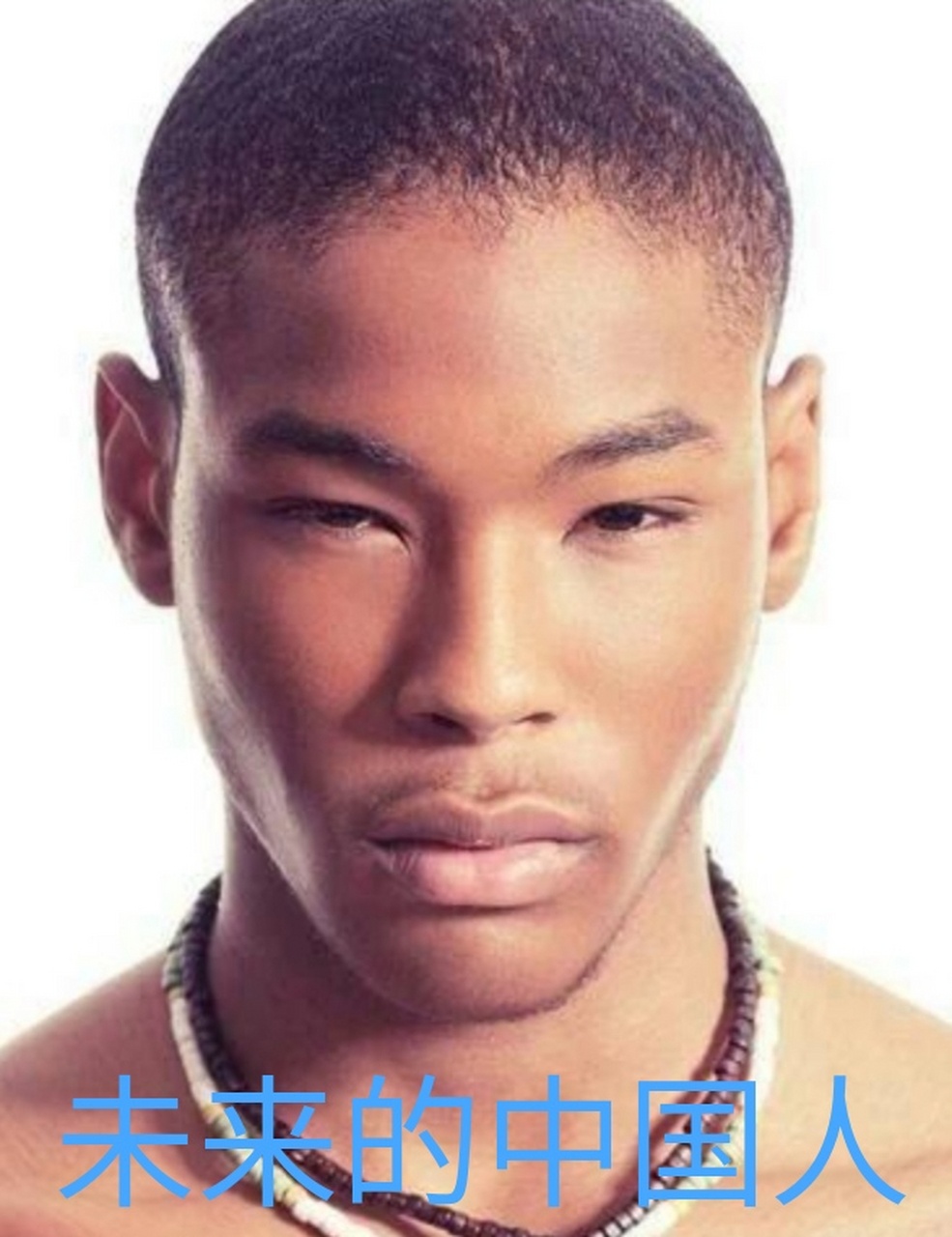 《凯勒奇计划》,是犹太人等西方精英群极力推崇的,世界优秀民族人种