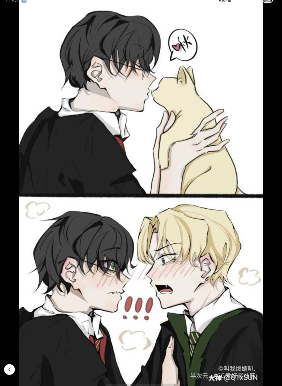 你喜欢猫猫德拉科还是白鼬德拉科[舔屏][舔屏][舔屏]