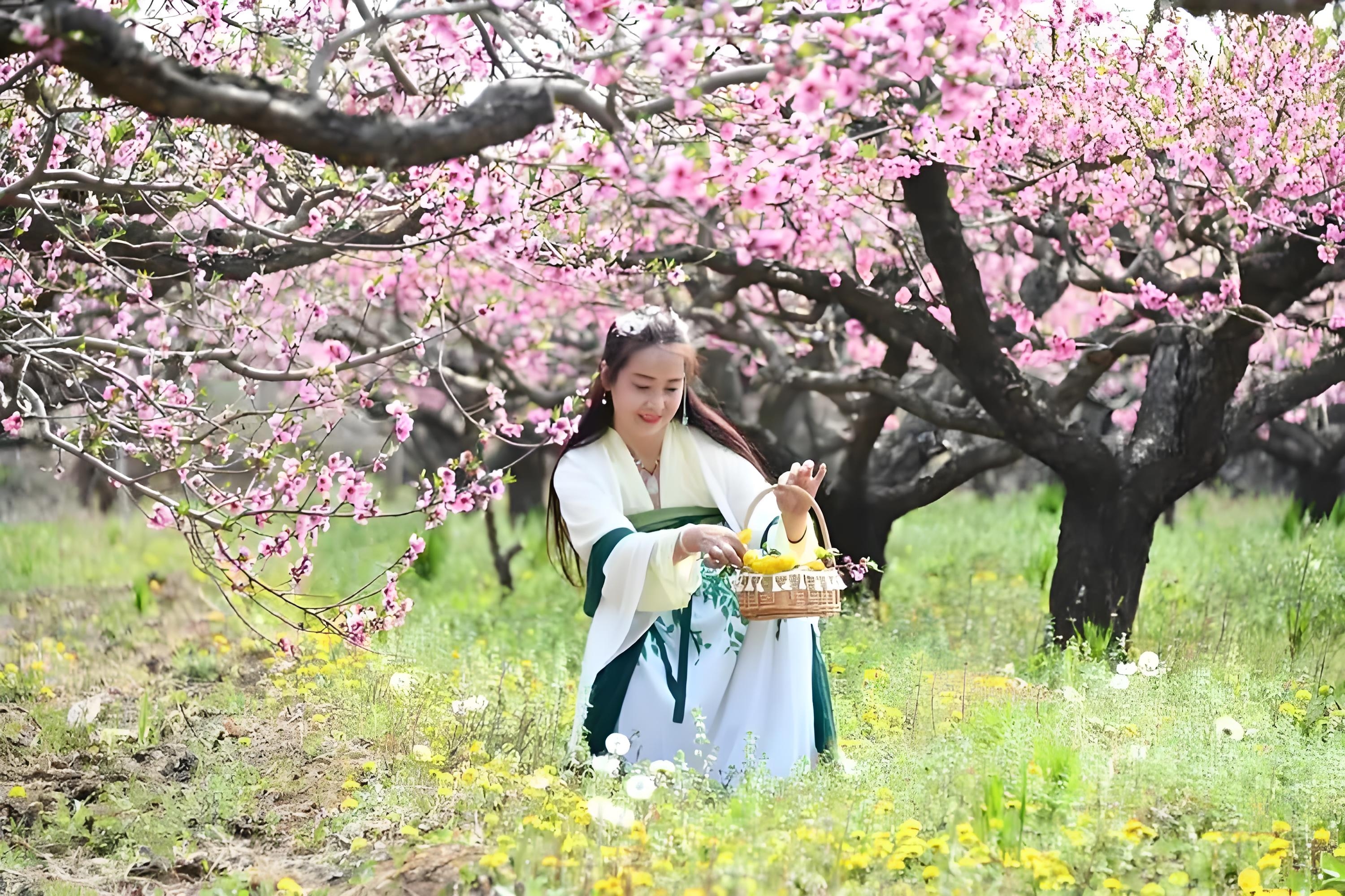 美女赏花现代诗词图片