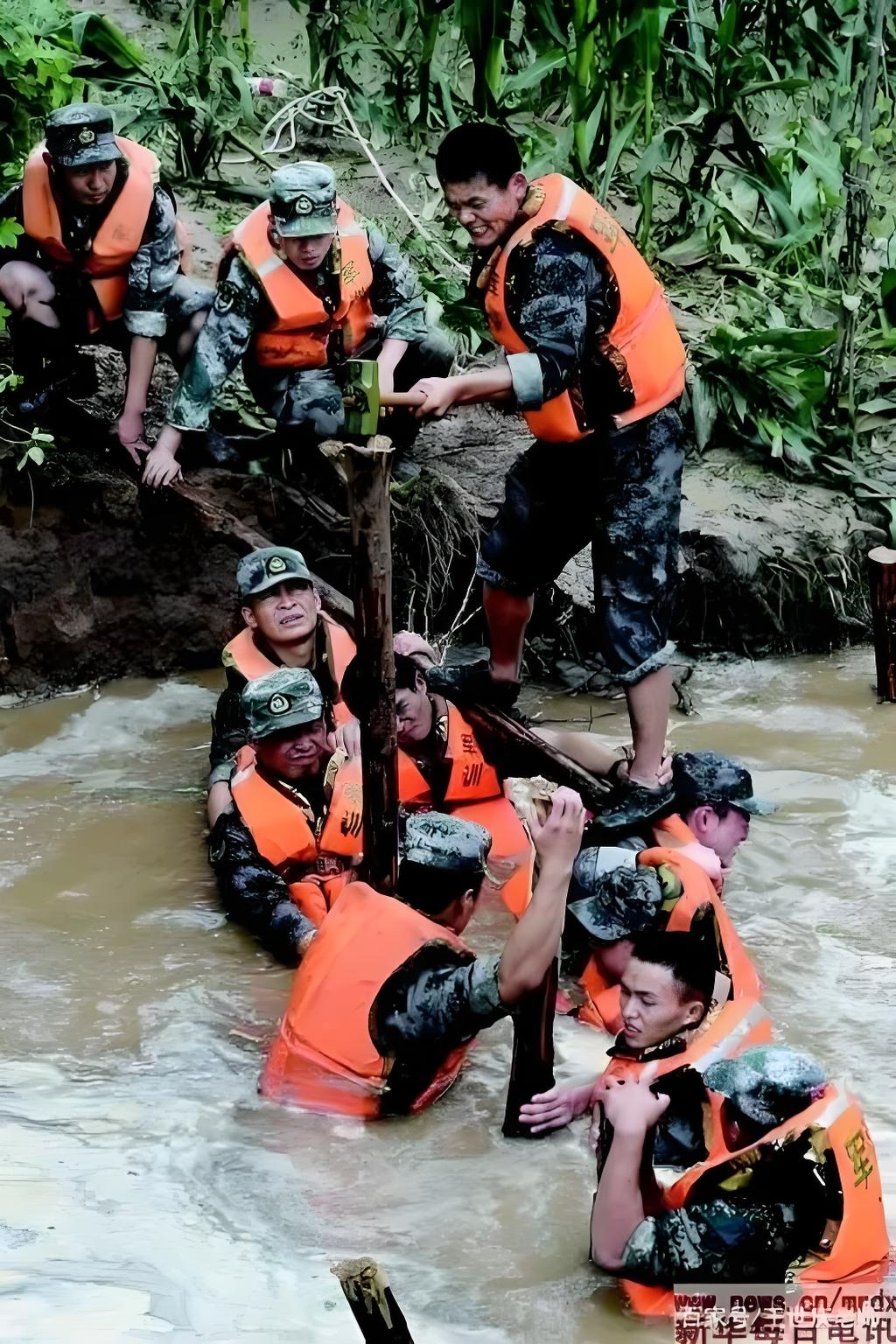 河南挺住风雨同舟(越战越勇故乡有话告诉你)