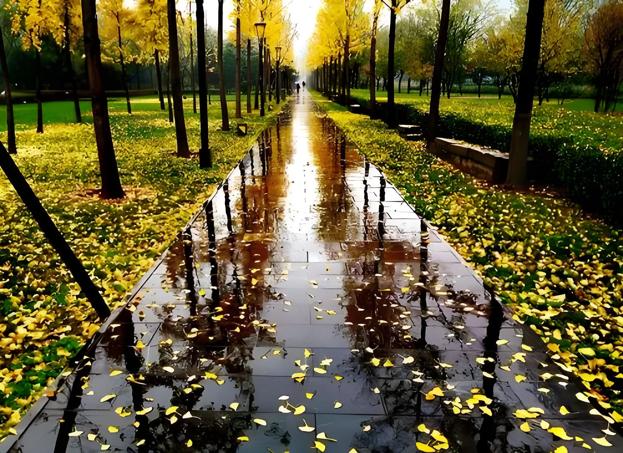《念奴娇秋雨晨思》