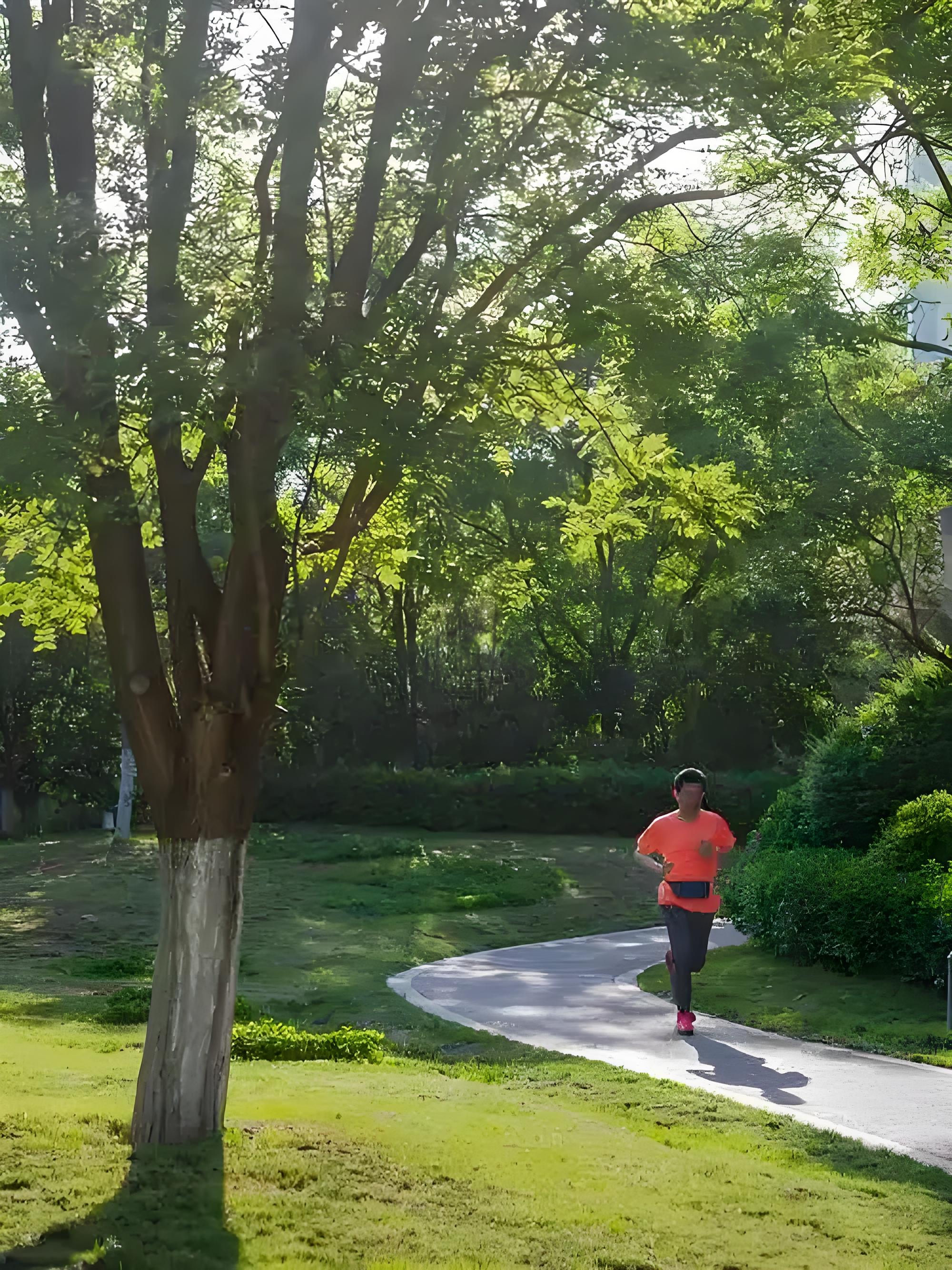 城市里的治愈系风景# 《西江月沈城晨练》原创 远处隐约峦嶂,山岚