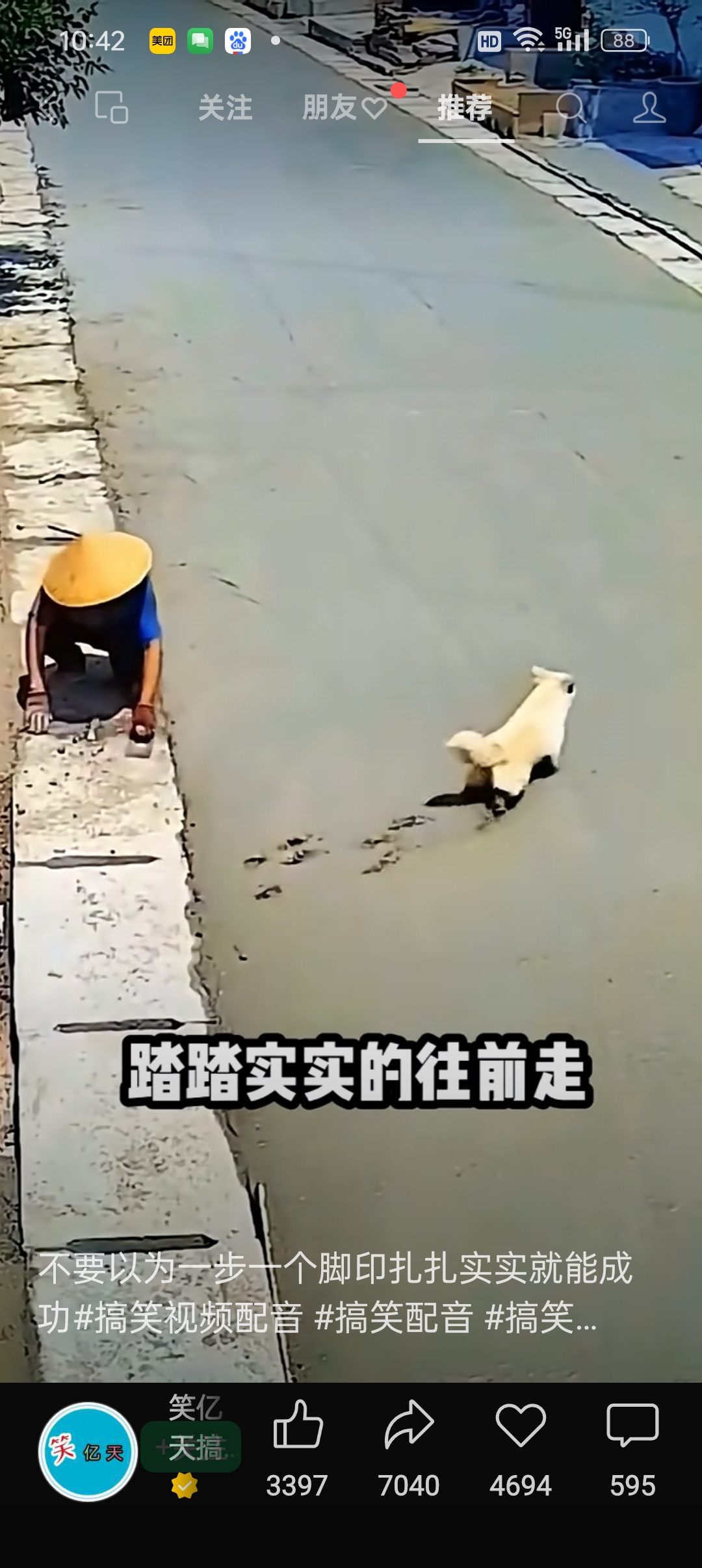 狗踩水泥路图片