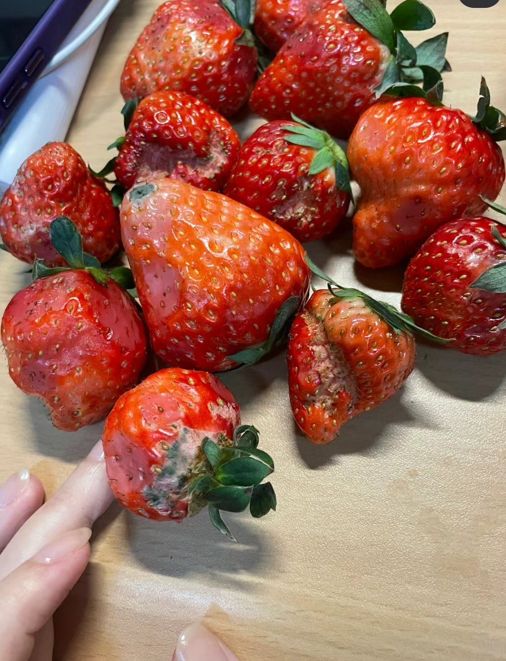 热点引擎计划# 学校门口买的盒装草莓 全是烂的,没一个好的