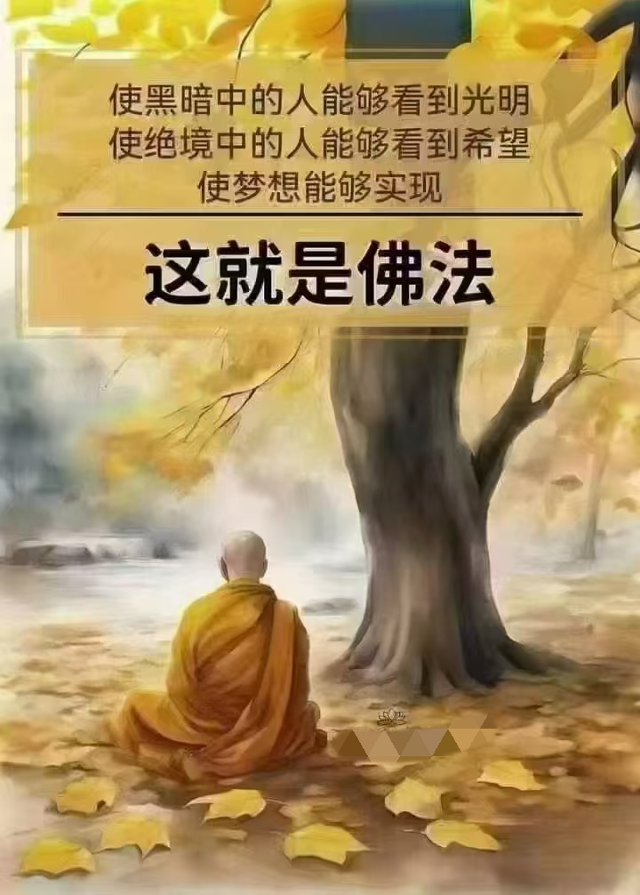 拥有佛的智慧,那是一种真正的解脱,它是让人远离颠倒梦想的菩提智慧
