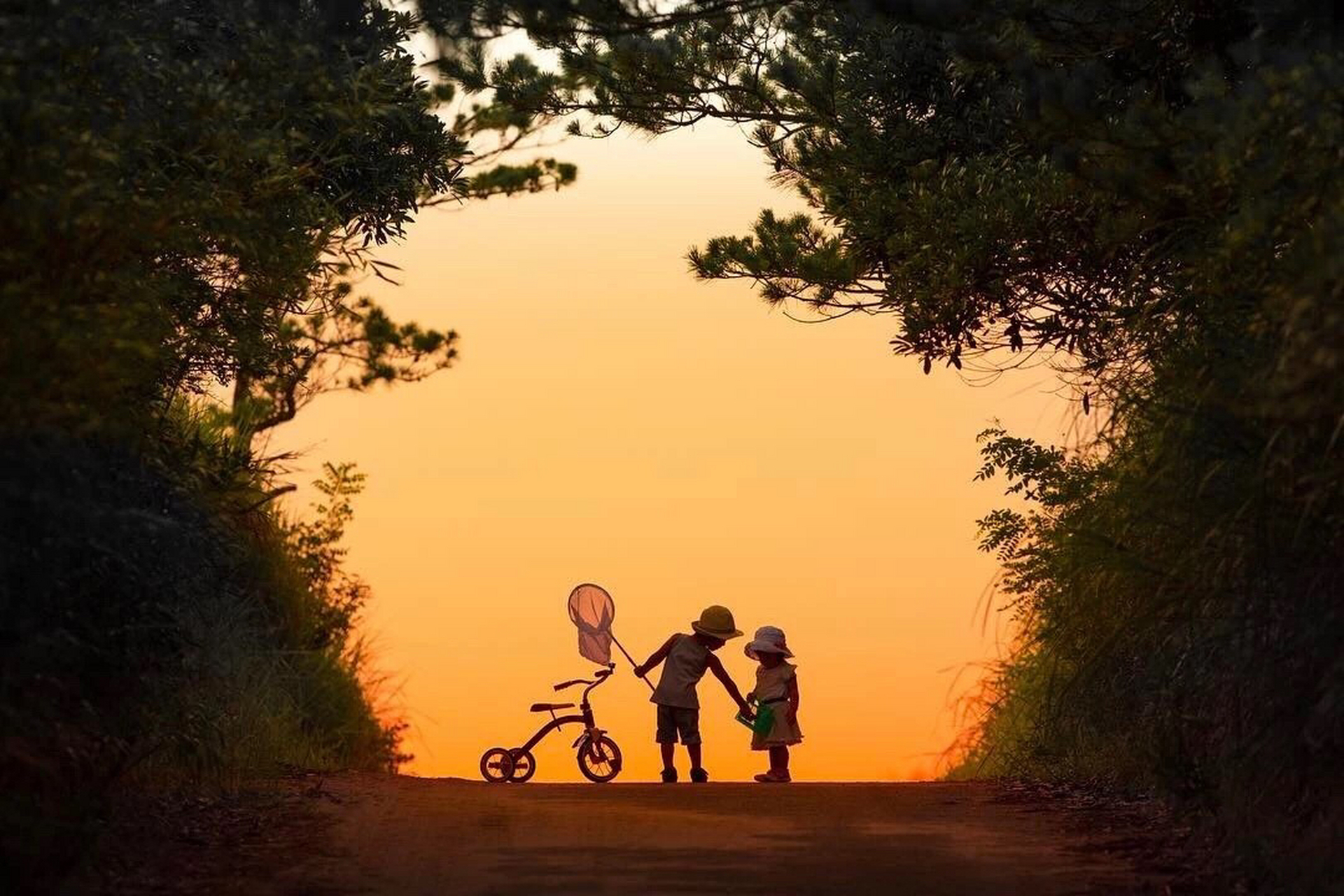 随便配个图,就是想吐槽一下我这个二胎宝妈的苦逼生活,大宝两岁半的