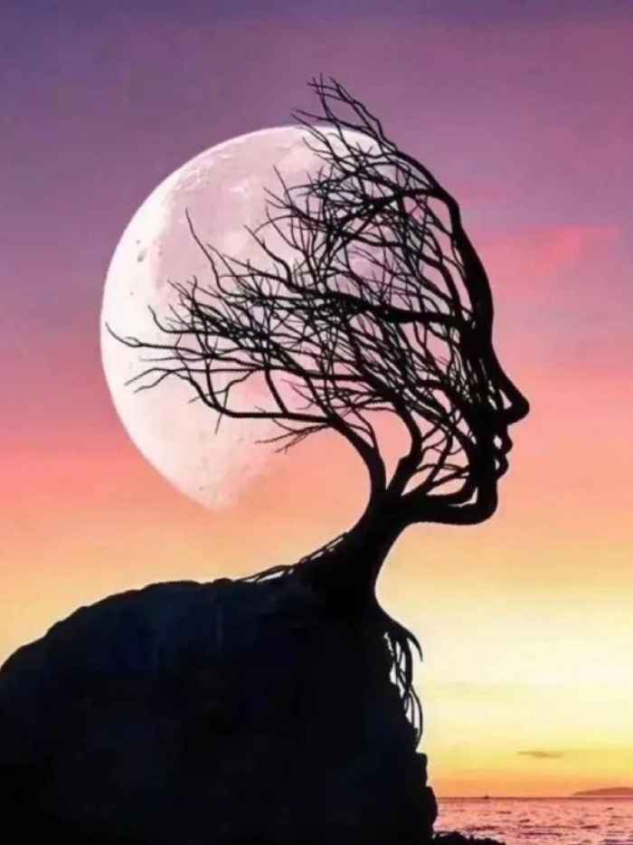 月亮 3人脸 测试～~心里状态 看图片:你的第一眼看到的是什么呀?