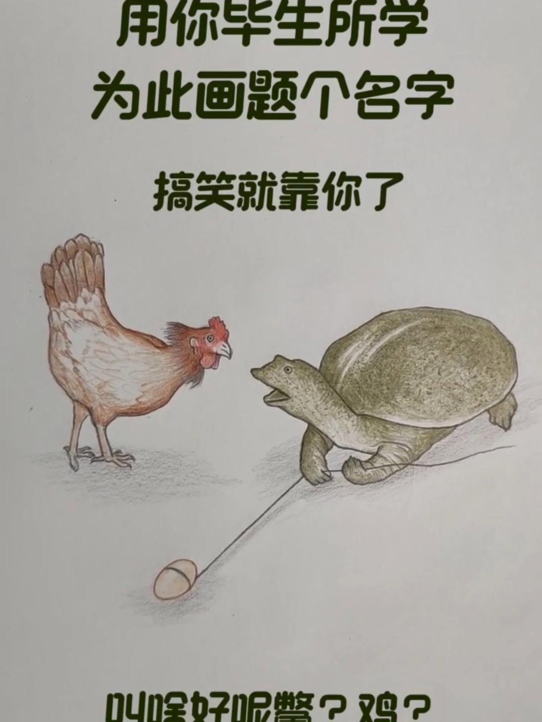 请你为它们取一个"搞笑"的名字!我在评论区等你们.