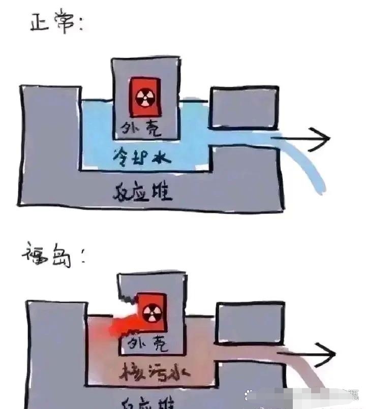 是核污水,不是核废水,福岛的是堆芯熔毁后直接接触过的水