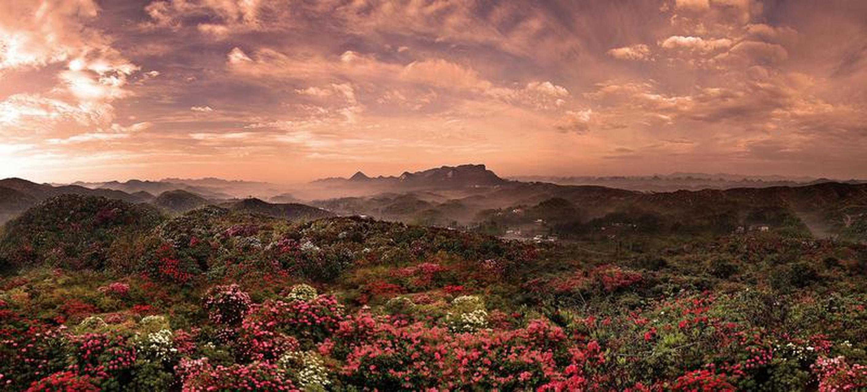 贵州之行,如诗如画.山川秀丽,风物独特.