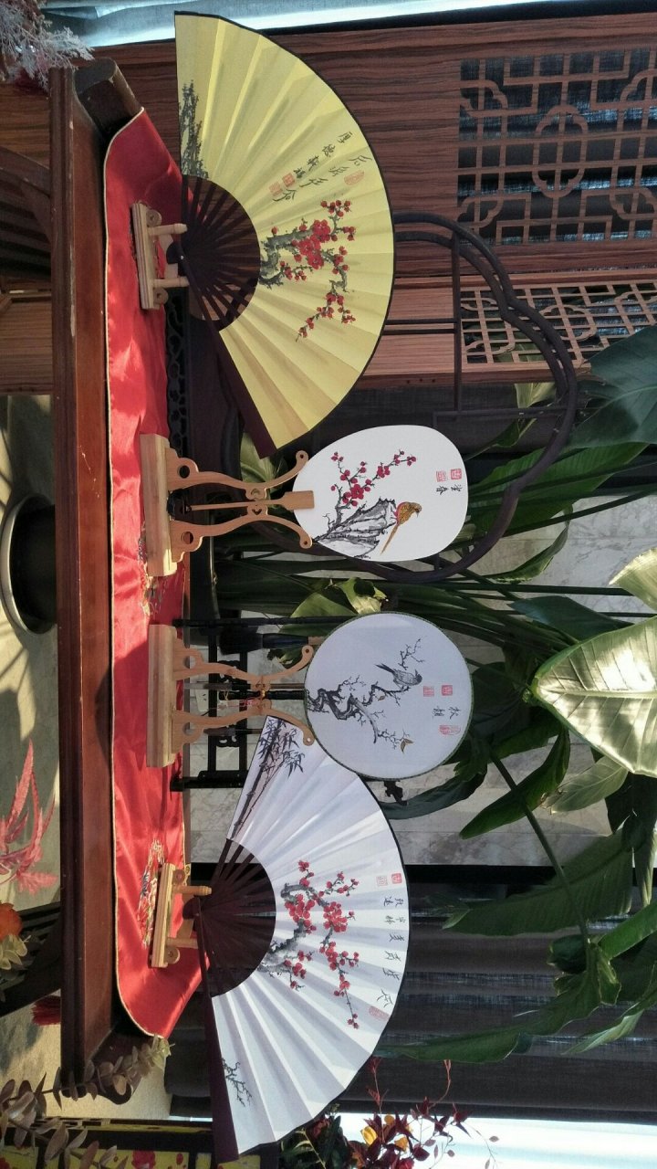 中华传统文化 红雷公女书扇面 女书为世界唯一女性专用文字.