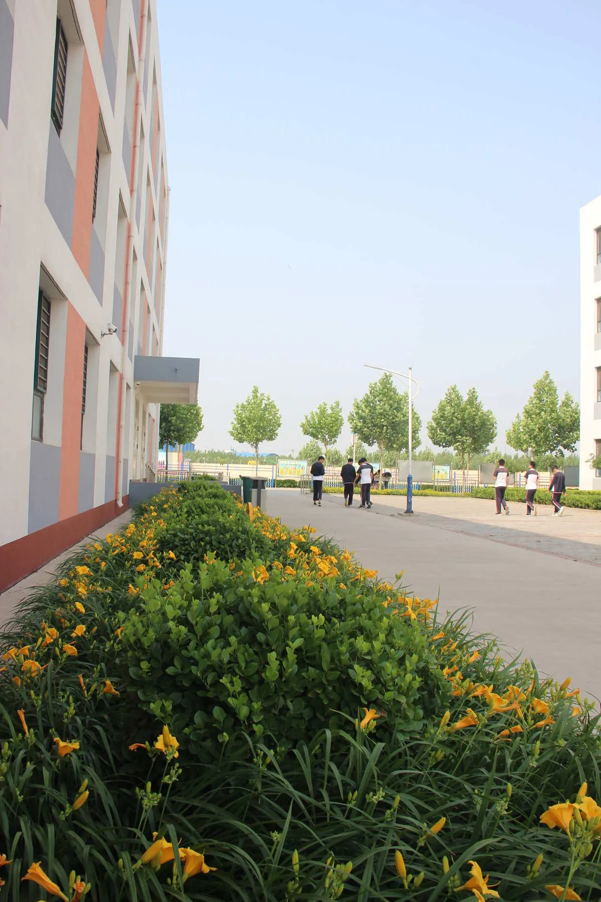 风景高清图片九中沧州市昆明长城中学子长市旧子中学图片济宁洸河中学