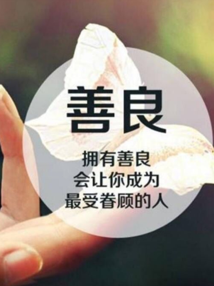 不是老天爷不善待善良的人,是很多善良的人,没有善待自己.