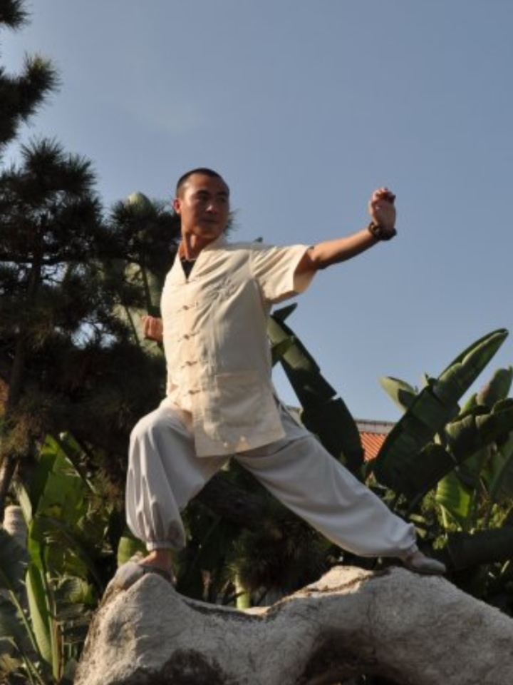 武术抡胳膊的动作