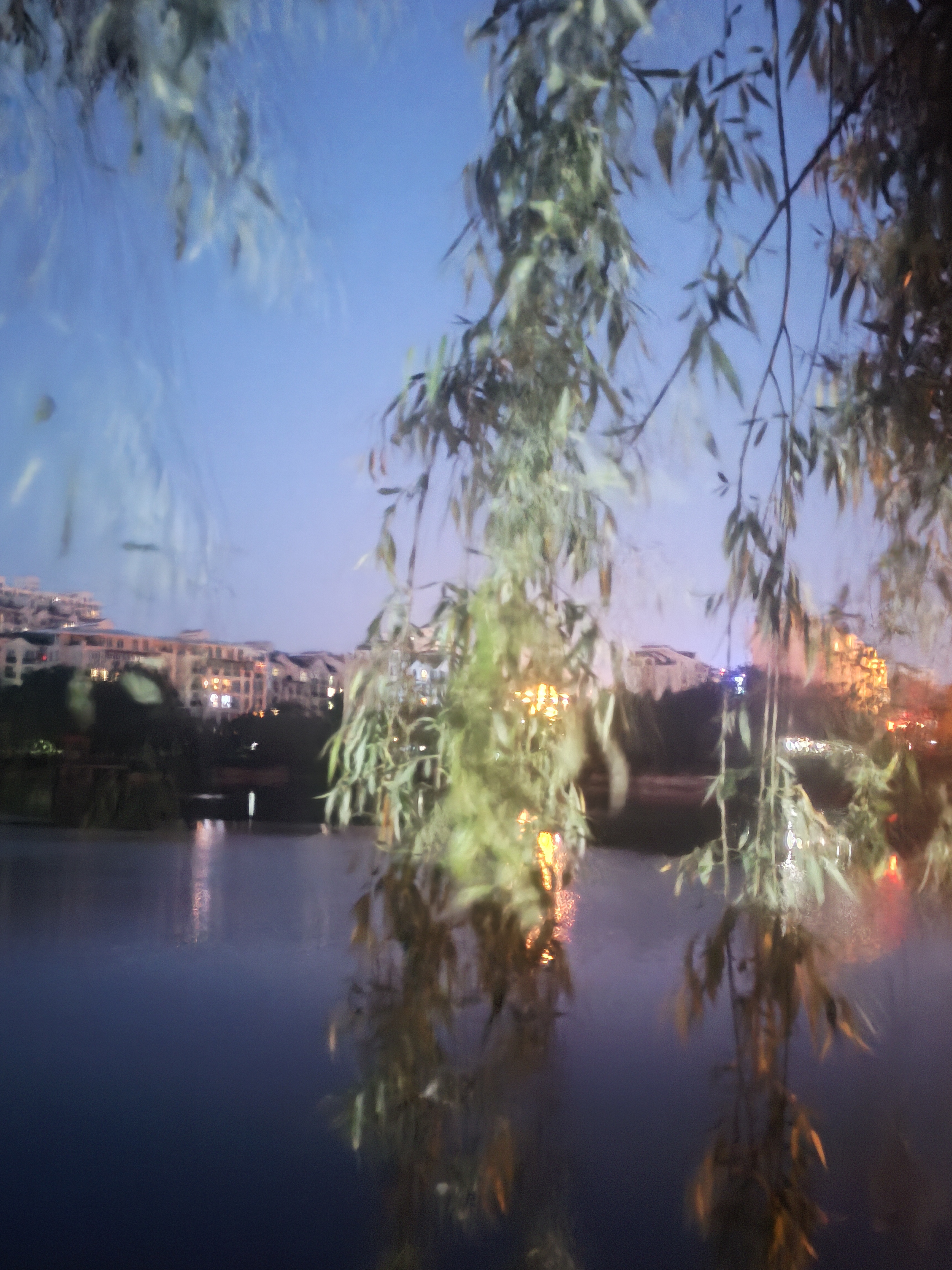 站在河边,我被眼前的景色深深吸引.