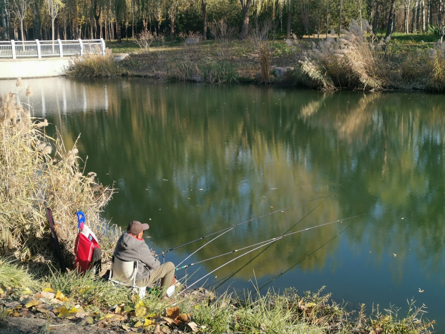 —69 谈海外钓鱼之乐 摘自《人生当如是》,作者林语堂