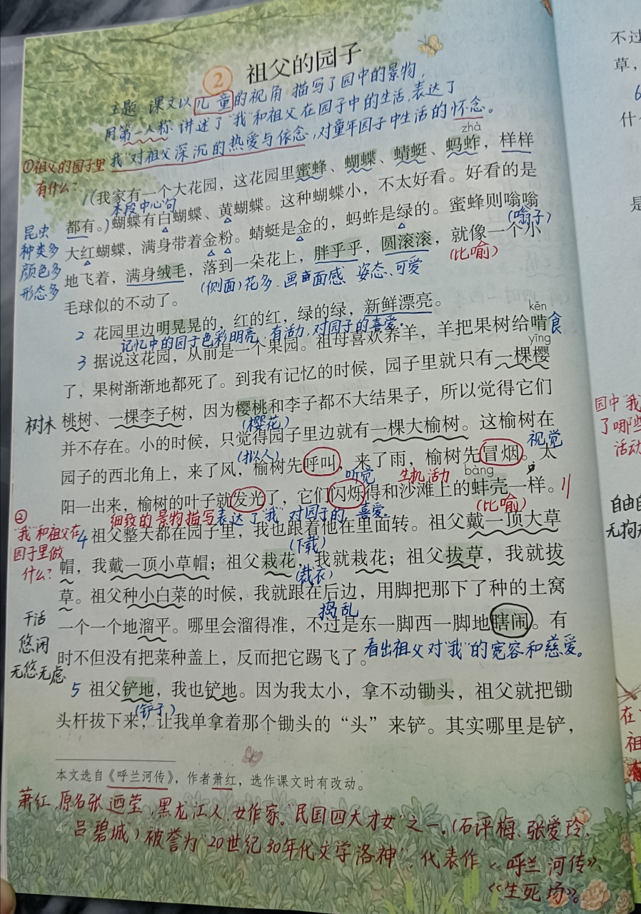 五年级下册语文第二课《祖父的园子》笔记,喜欢的点赞收藏并评论,下期