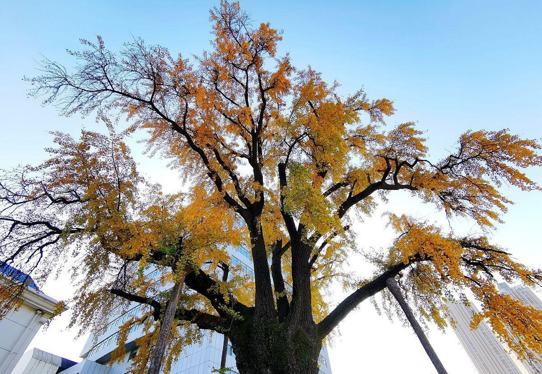 灵魂之问 请回答量某下面三个问题: 1美国是否向我们推销"民主自由"?