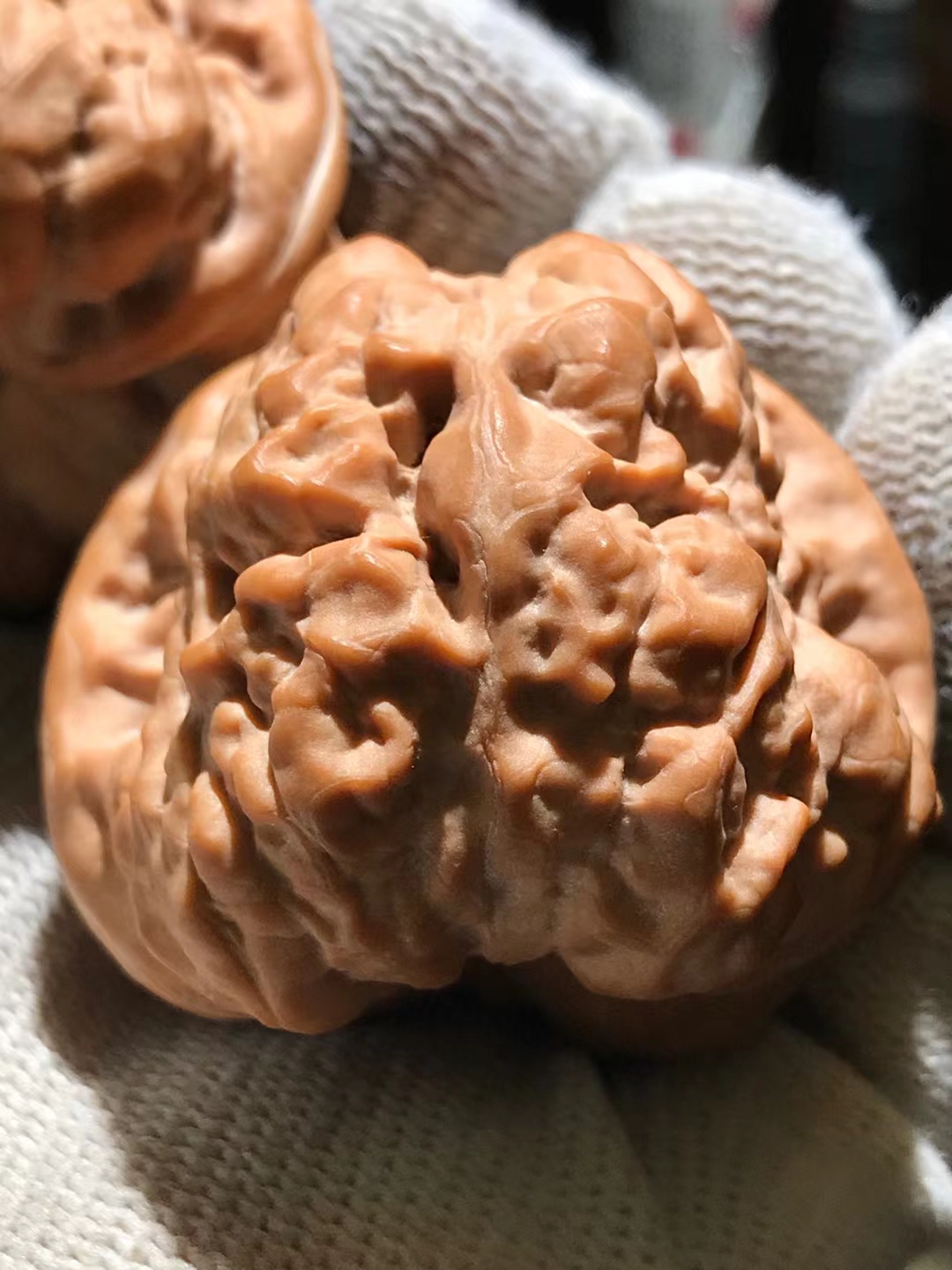 文玩核桃中的珍品,金蟾蛤蟆头,以其独特的形状和纹理吸引了众多文玩