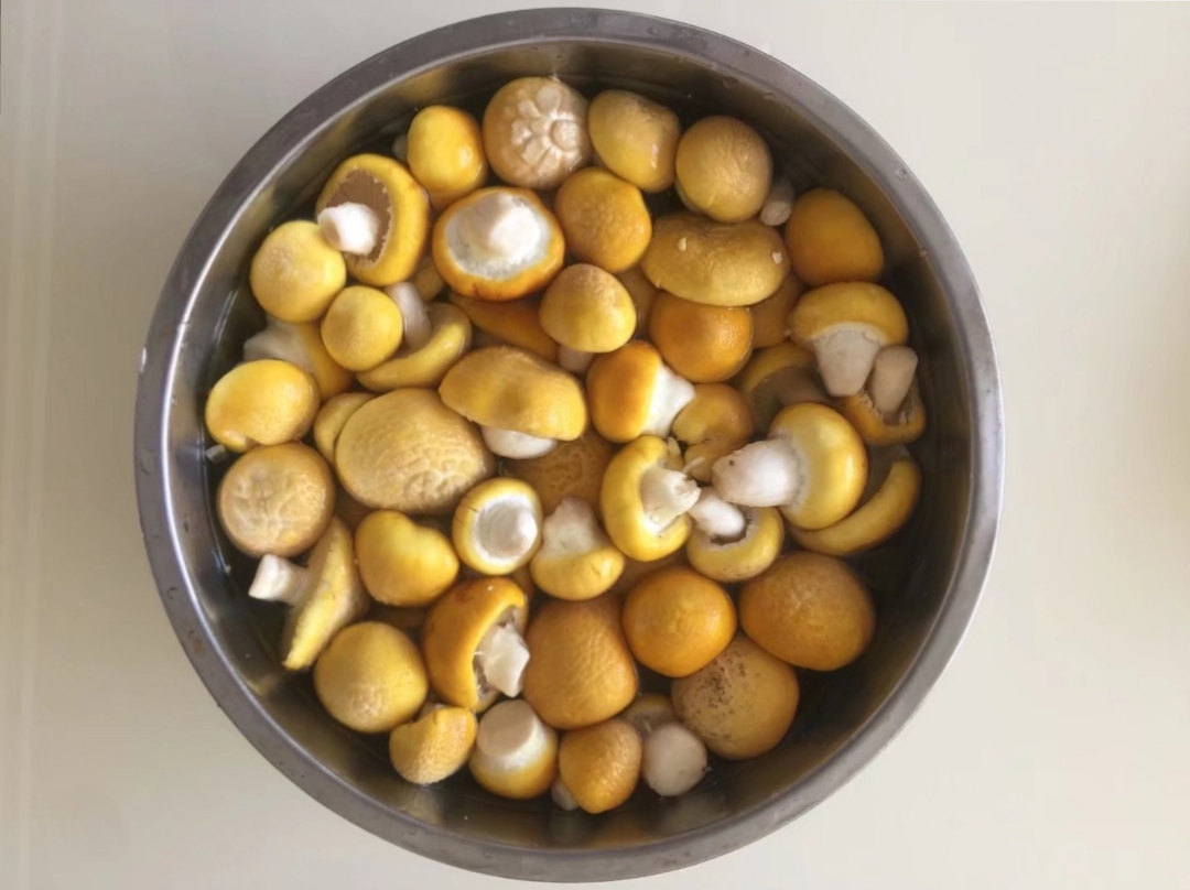 现在这样的季节,就说说咱们青海的黄蘑菇吧.