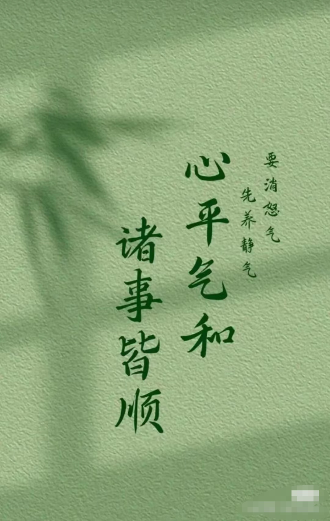 心平气和,是应对喧嚣的盾牌,让我们在纷扰中寻得安宁