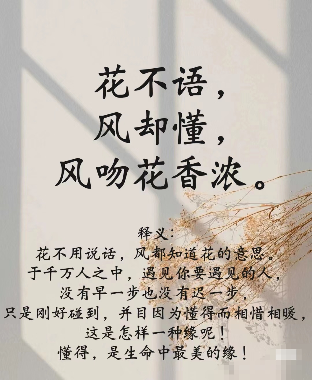 是生命花开花落花无悔,缘来缘去缘如水的意思花不语,风却懂,默不言