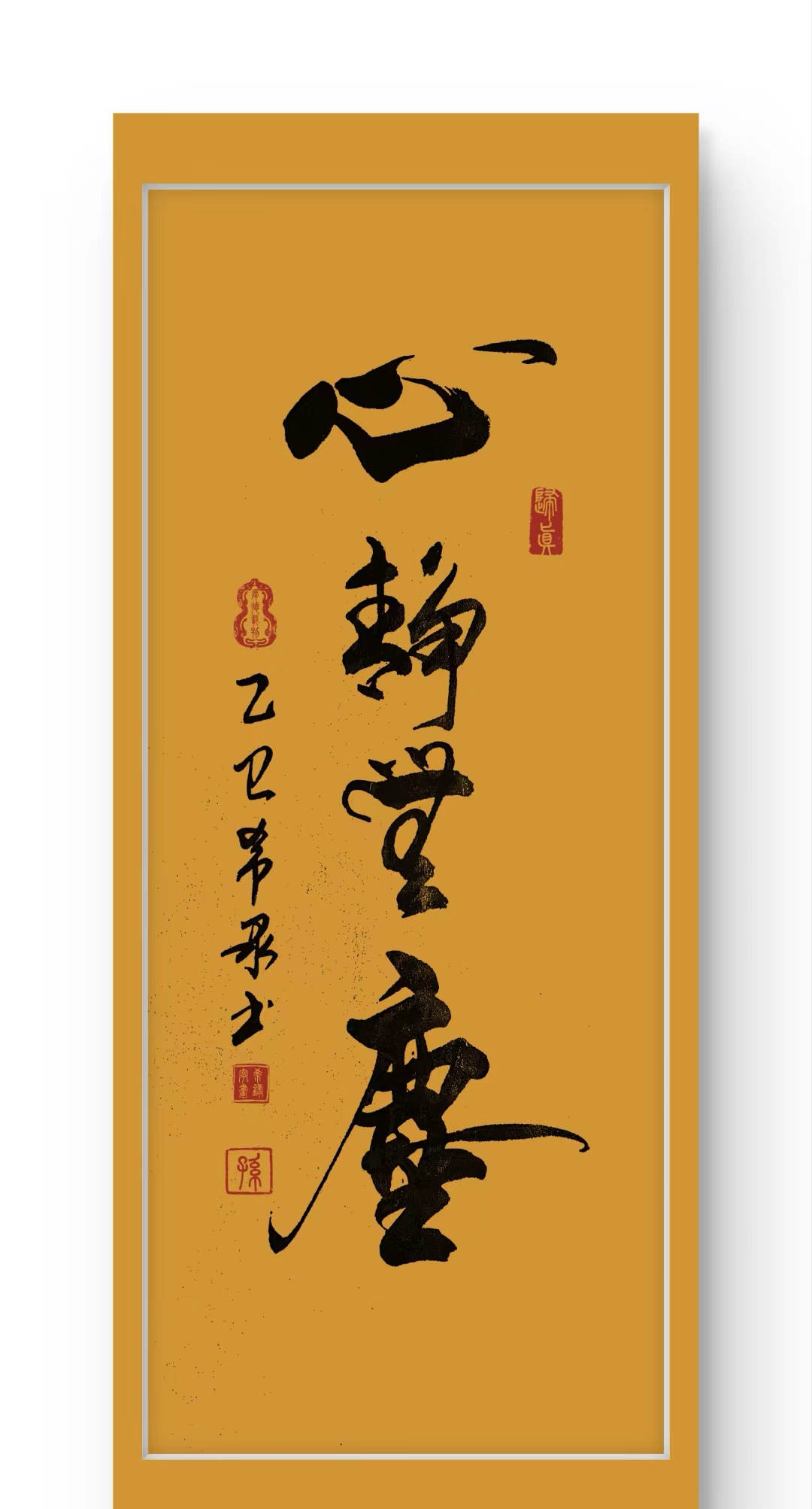 清晨,阳光透过斑驳的树叶,洒下细碎光影