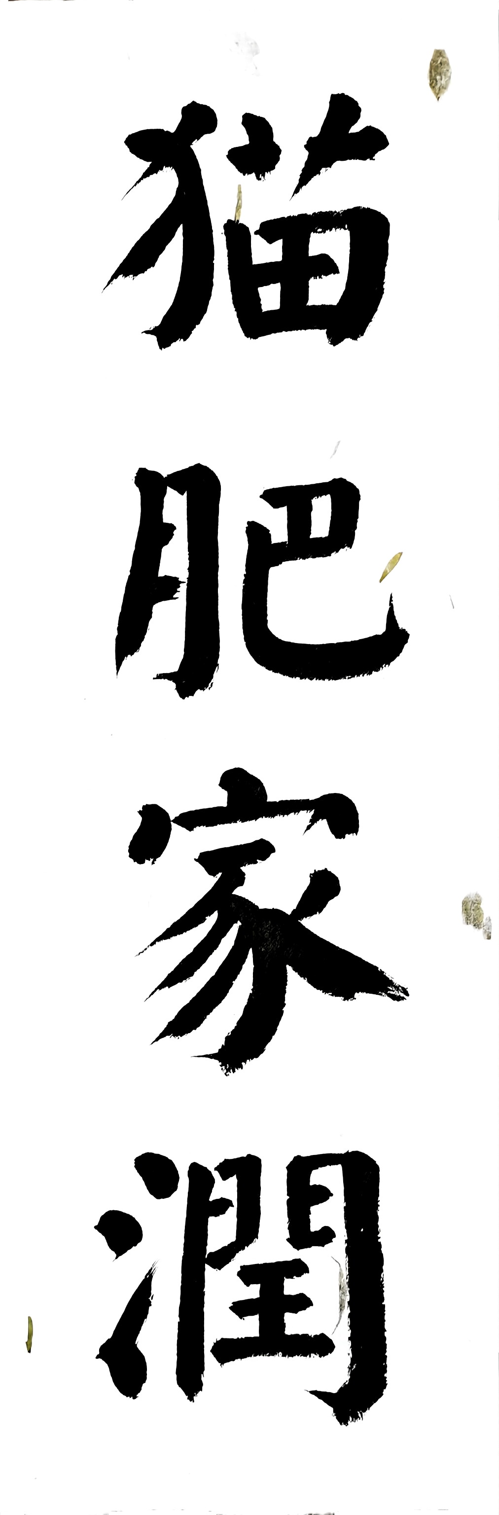 猫肥家润