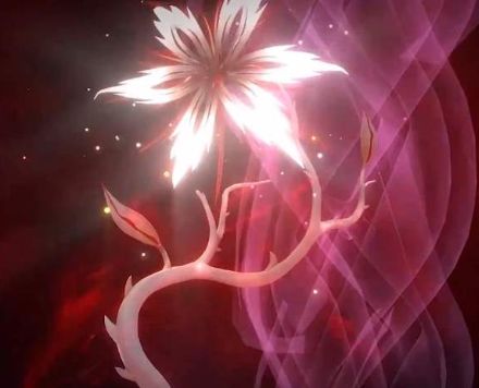 《斗罗大陆》中的仙品药草