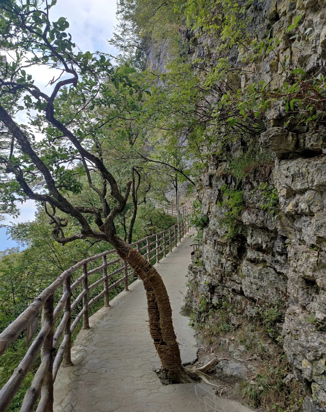 汉中市南郑区旅游景点图片