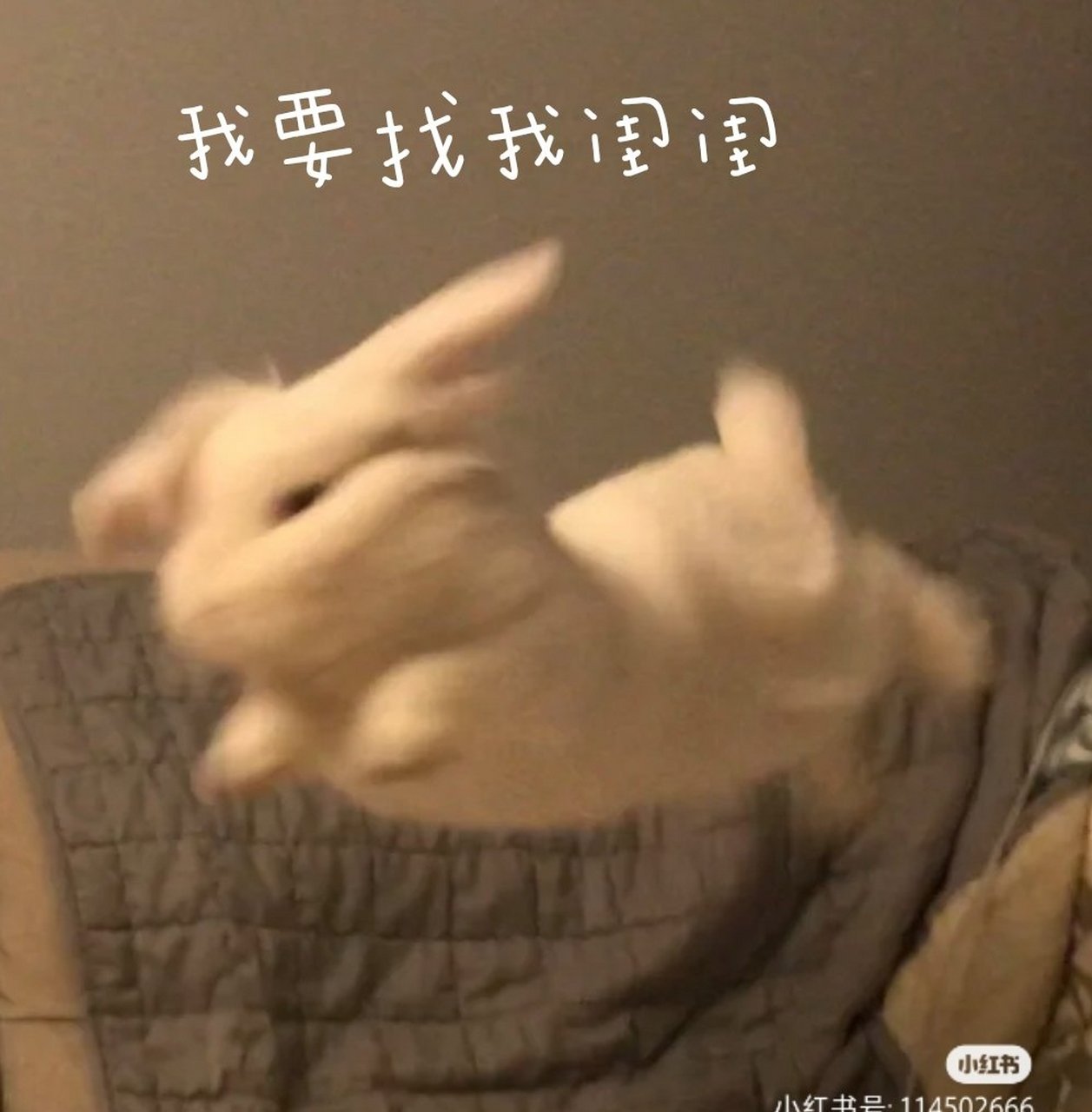沙雕兔叽闺蜜头像