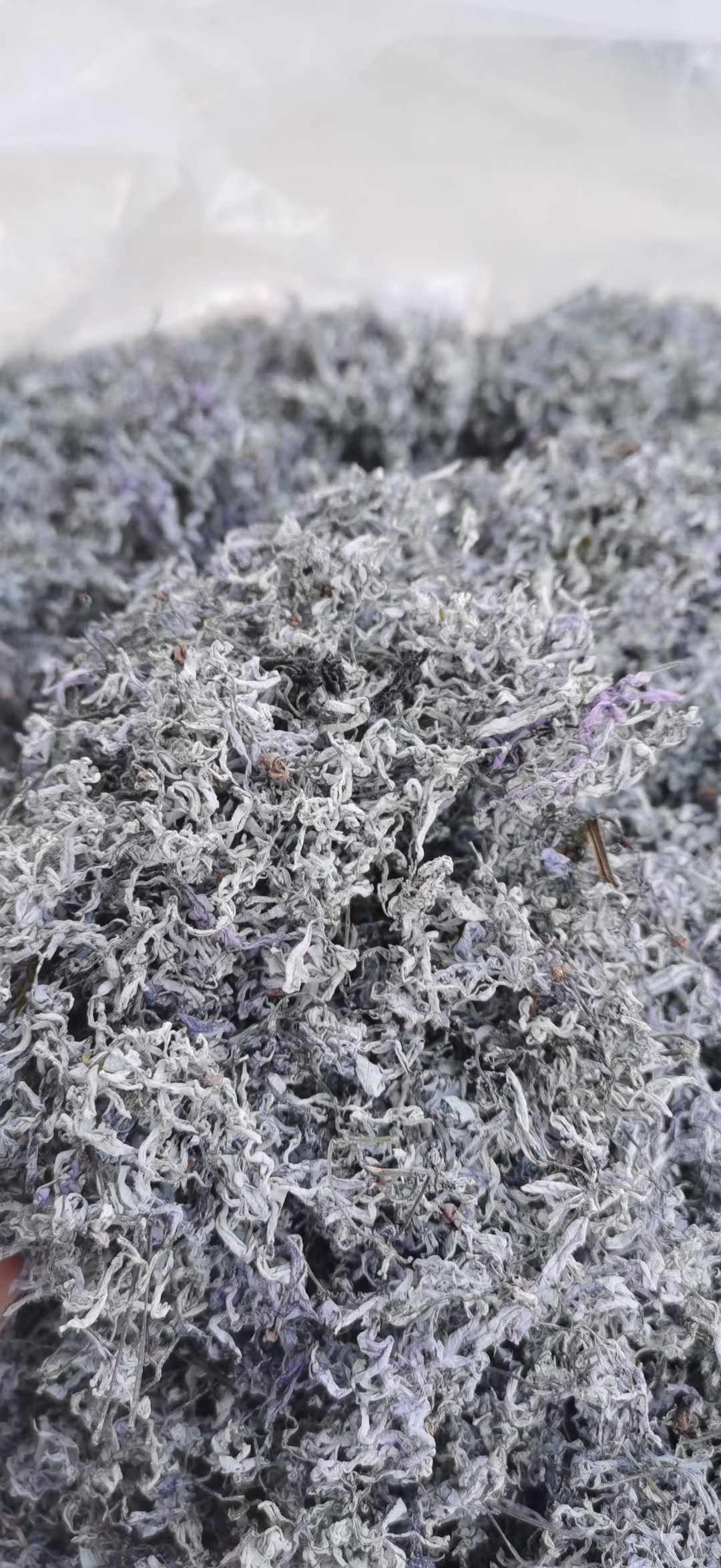 上火了,來一杯高山野生藤茶,清热解毒.