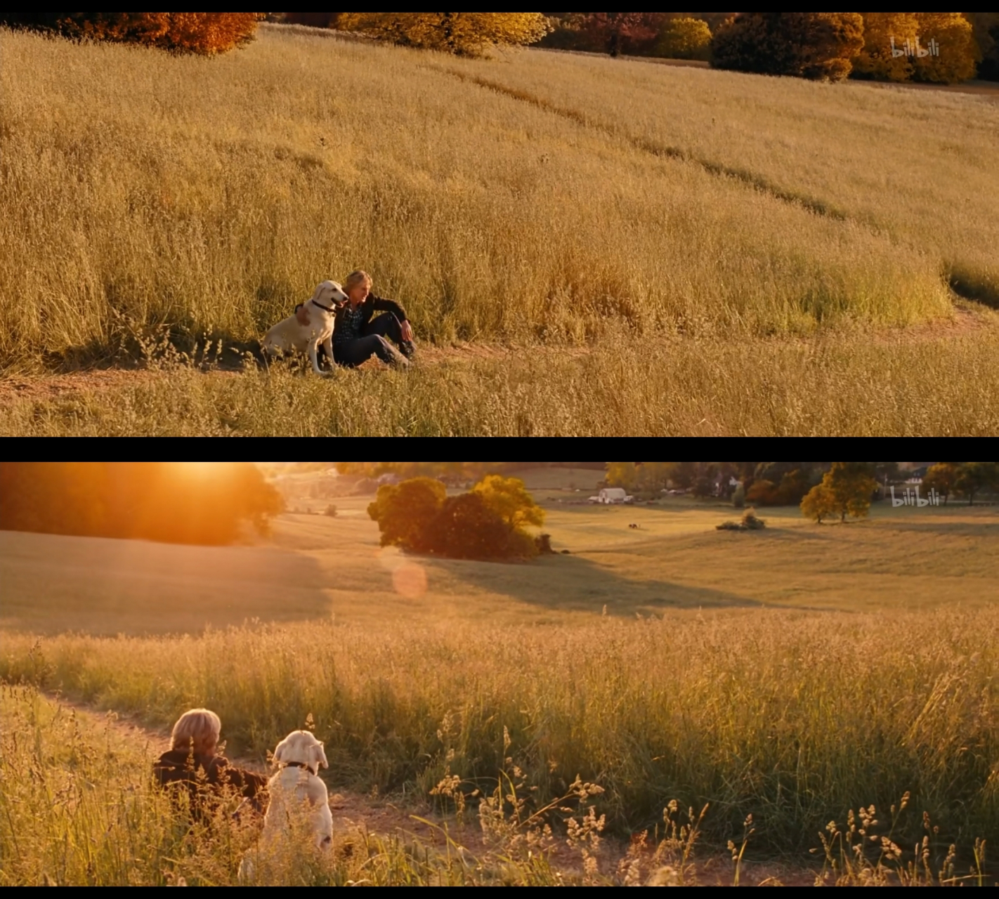 《马利和我》非主流的宠物电影  前半部分,其实和狗狗关系不多,讲的是