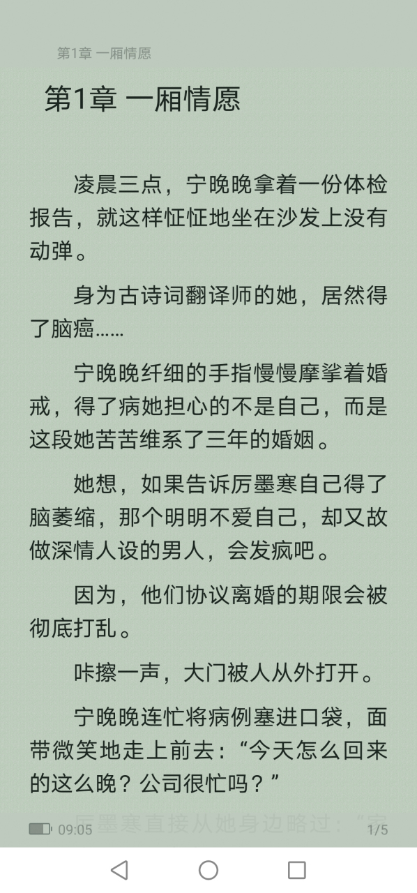 抖音推送主人公宁晚晚厉墨寒的短篇小说《宁晚晚厉墨寒《宁晚晚厉墨