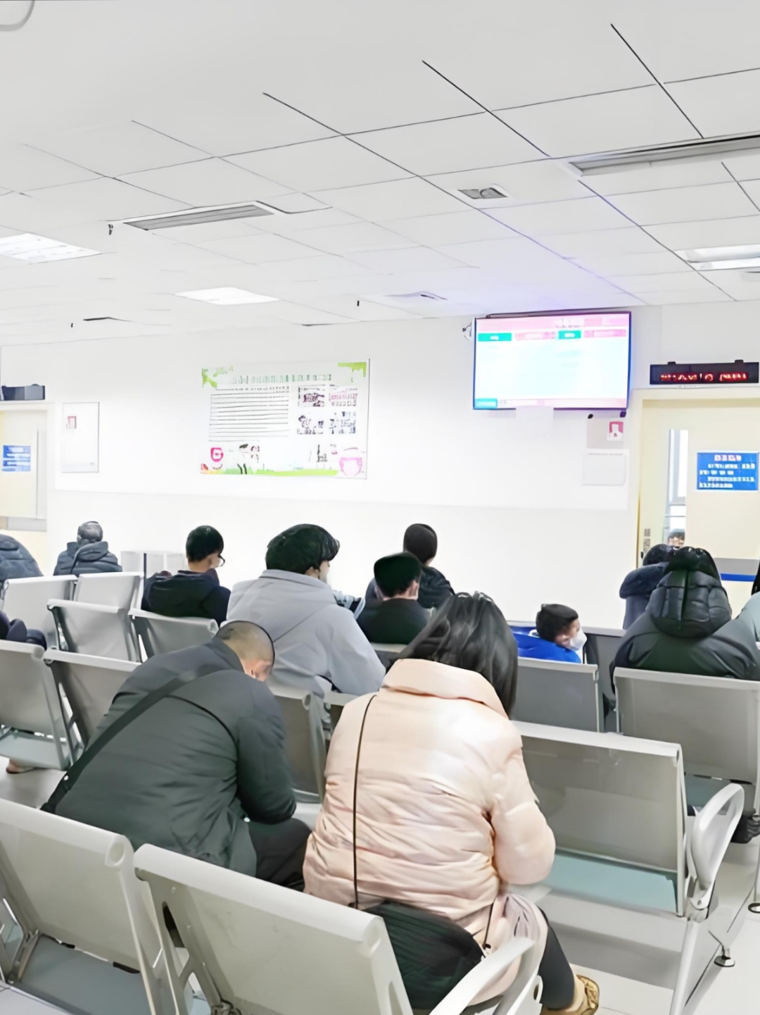 包含北京大学第三医院、协助就诊黄牛排队挂号，收取合理费用的词条