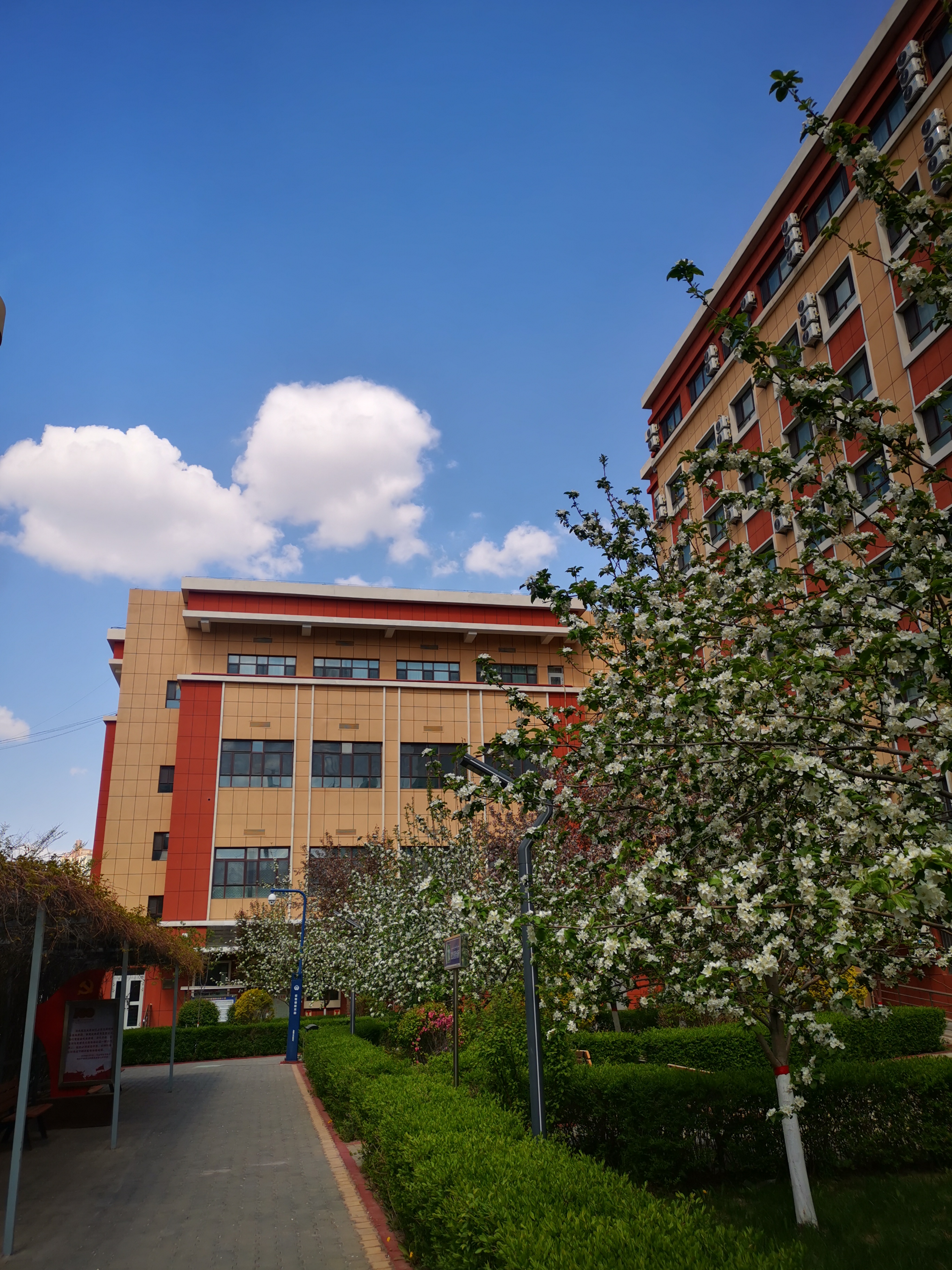 第一书记受爱戴,一行热泪洒热土