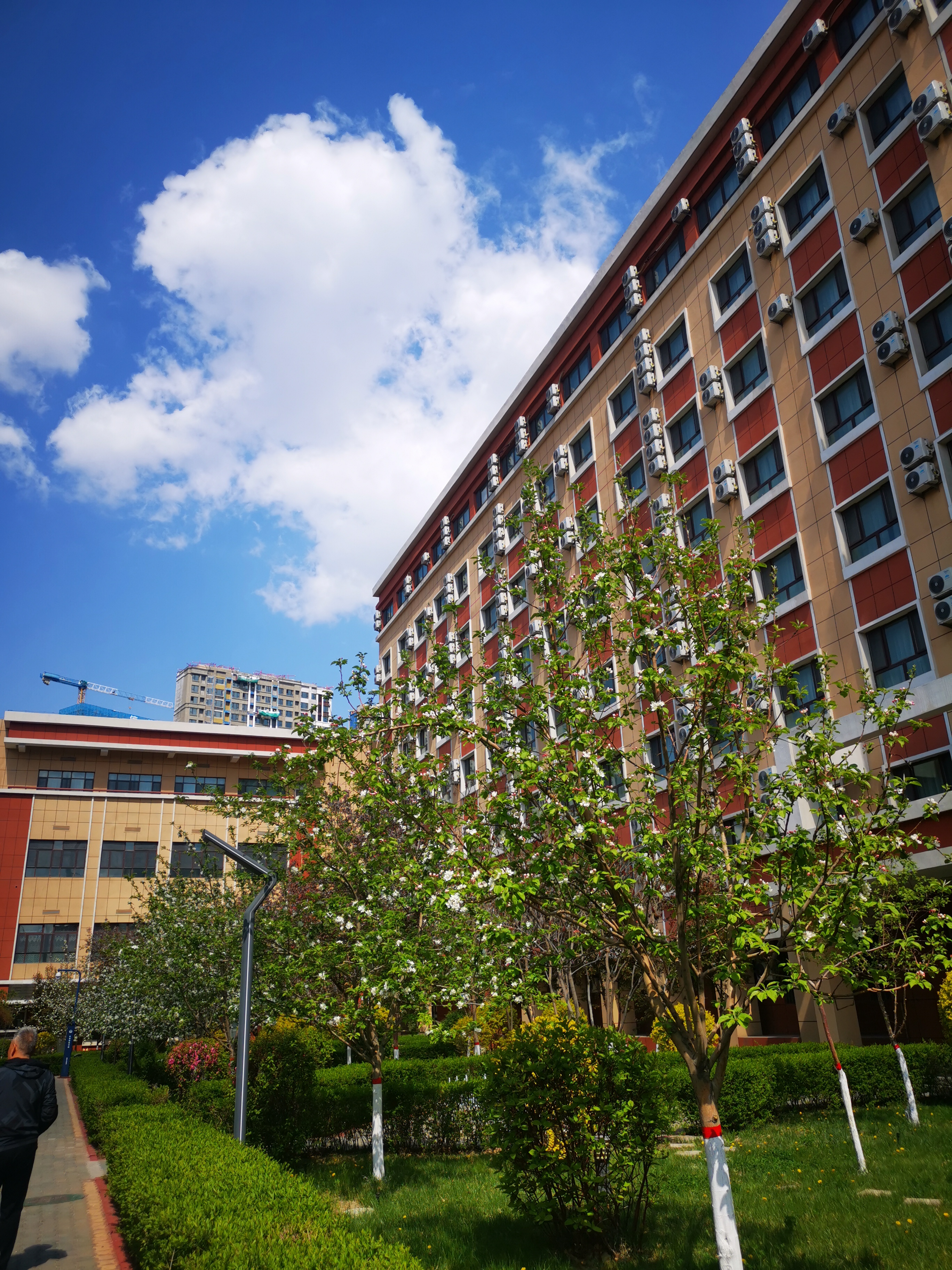 第一书记受爱戴,一行热泪洒热土