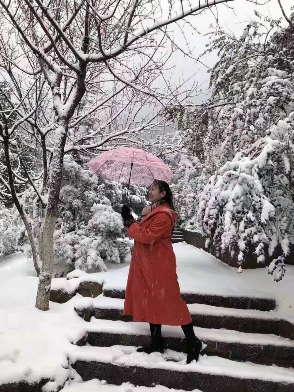 雪 海 梅 香 作者 周 凰 凌风傲雪斗严寒 早有清香挂涯边