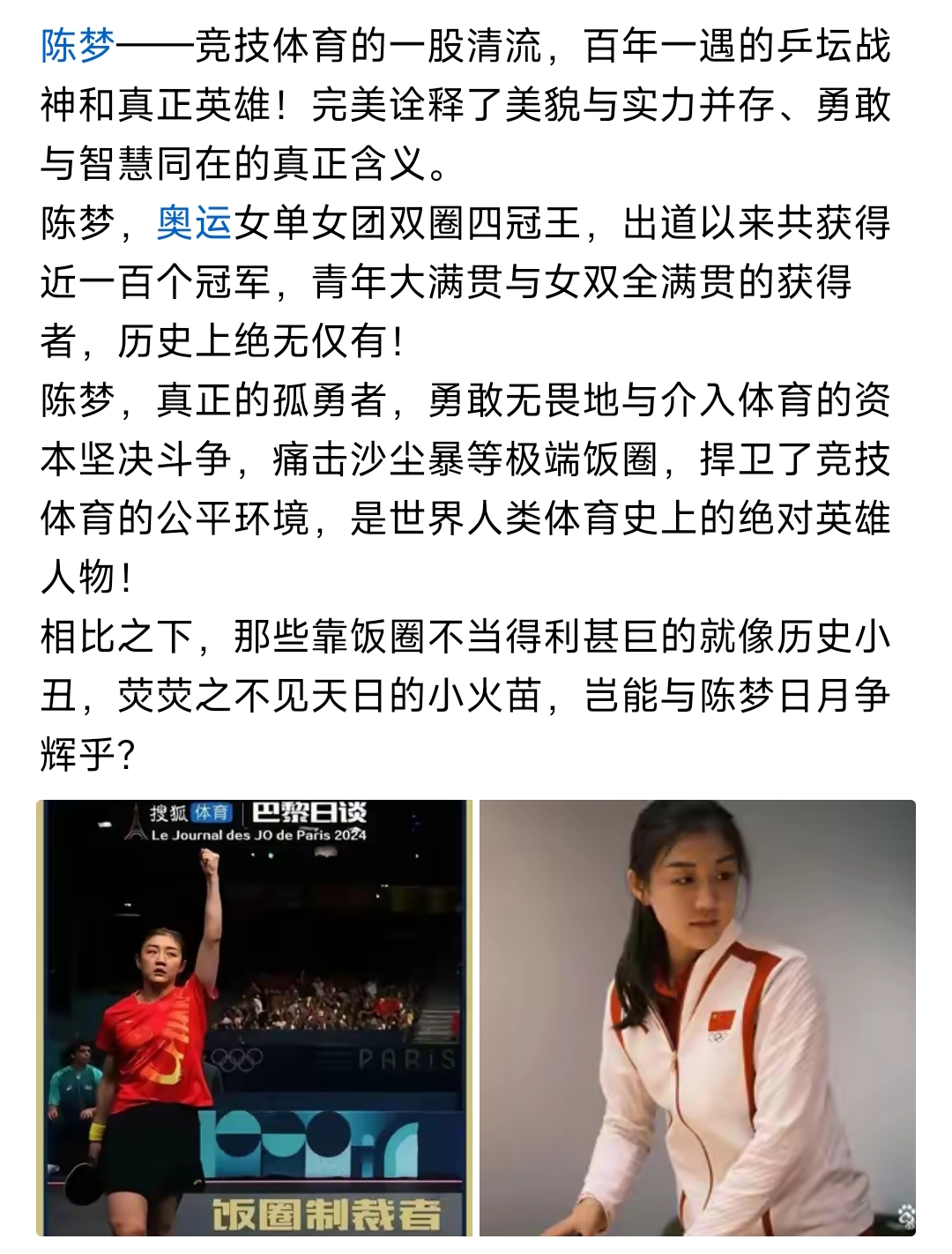 女乒世界 杯陈梦半 决赛比分相关图片2