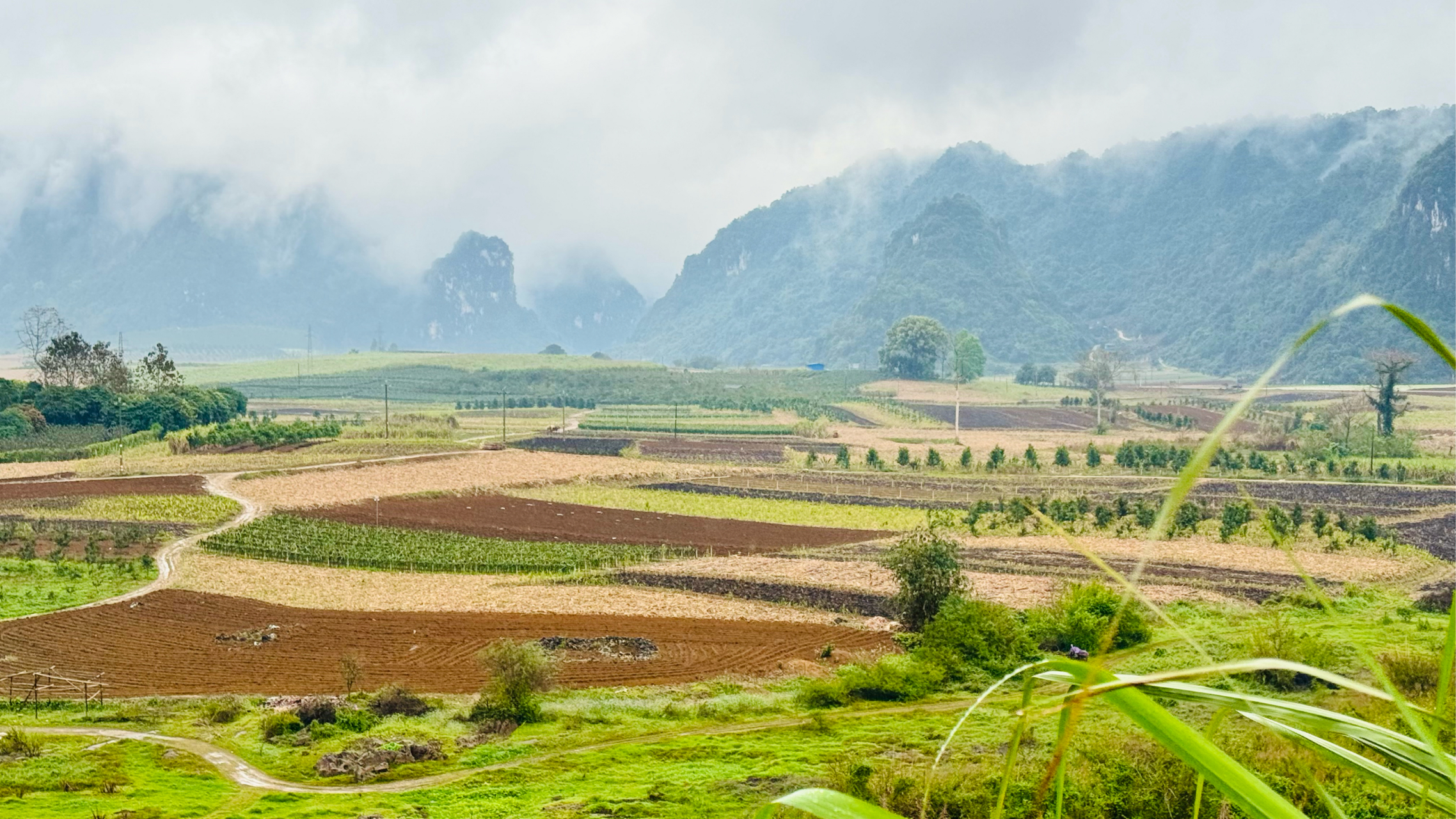 [得意]…  龙州县 的 山色田园… 广西壮族自治区 崇左市…#和大自然