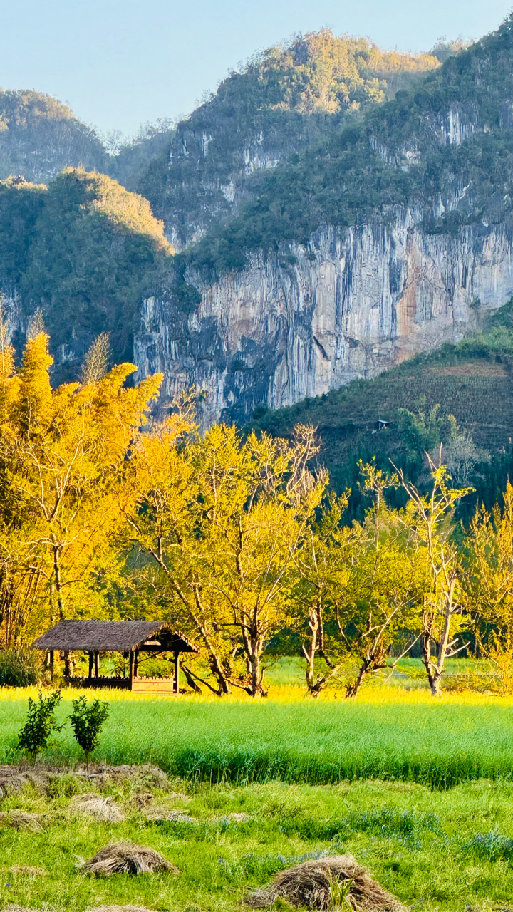 [得意]…  坝美 世外桃源 98 云南文山 壮族苗族自治洲…#和大自然