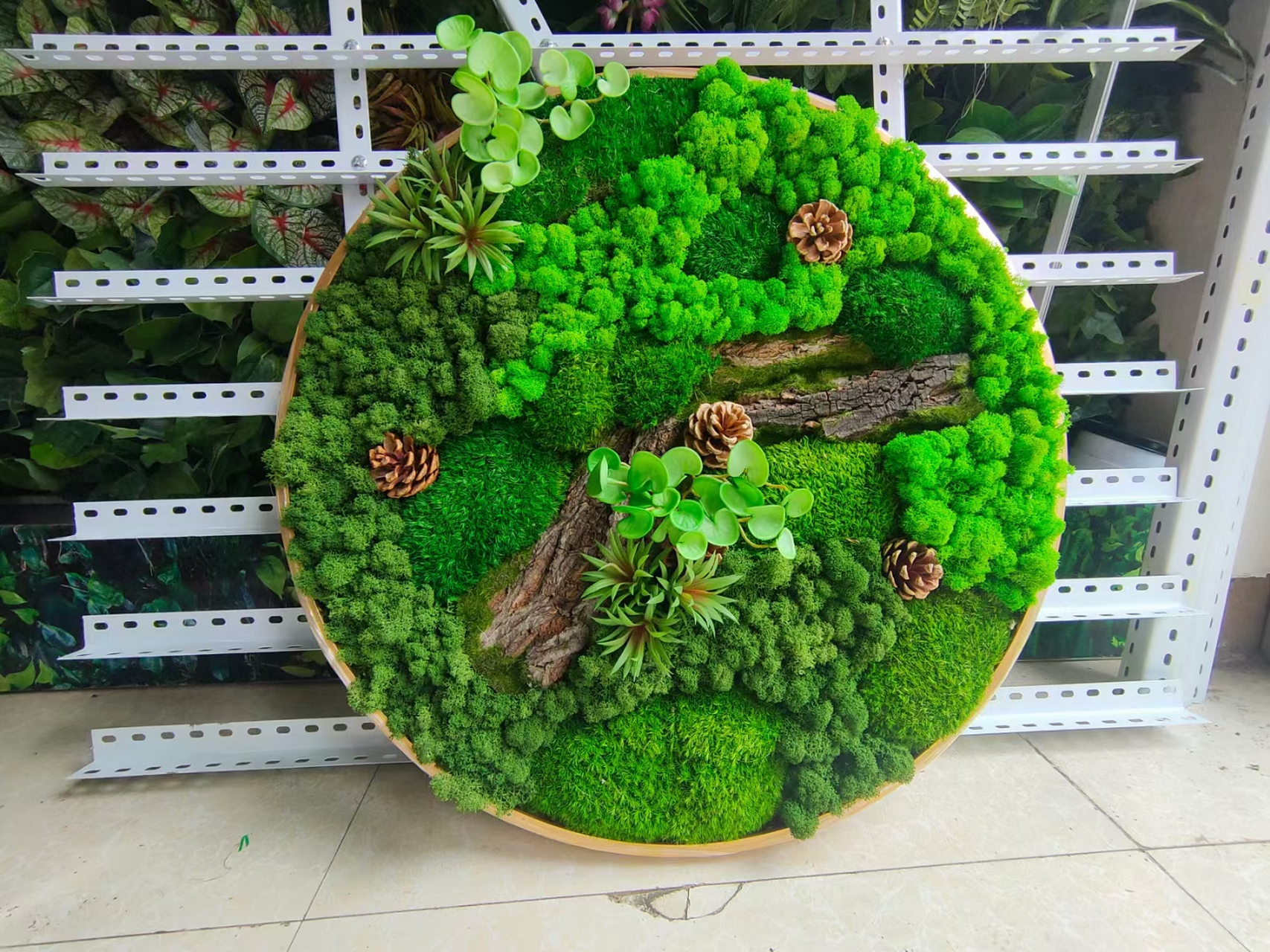 植物墙,绿植墙制作,植物墙养护,苔藓墙,苔藓造景